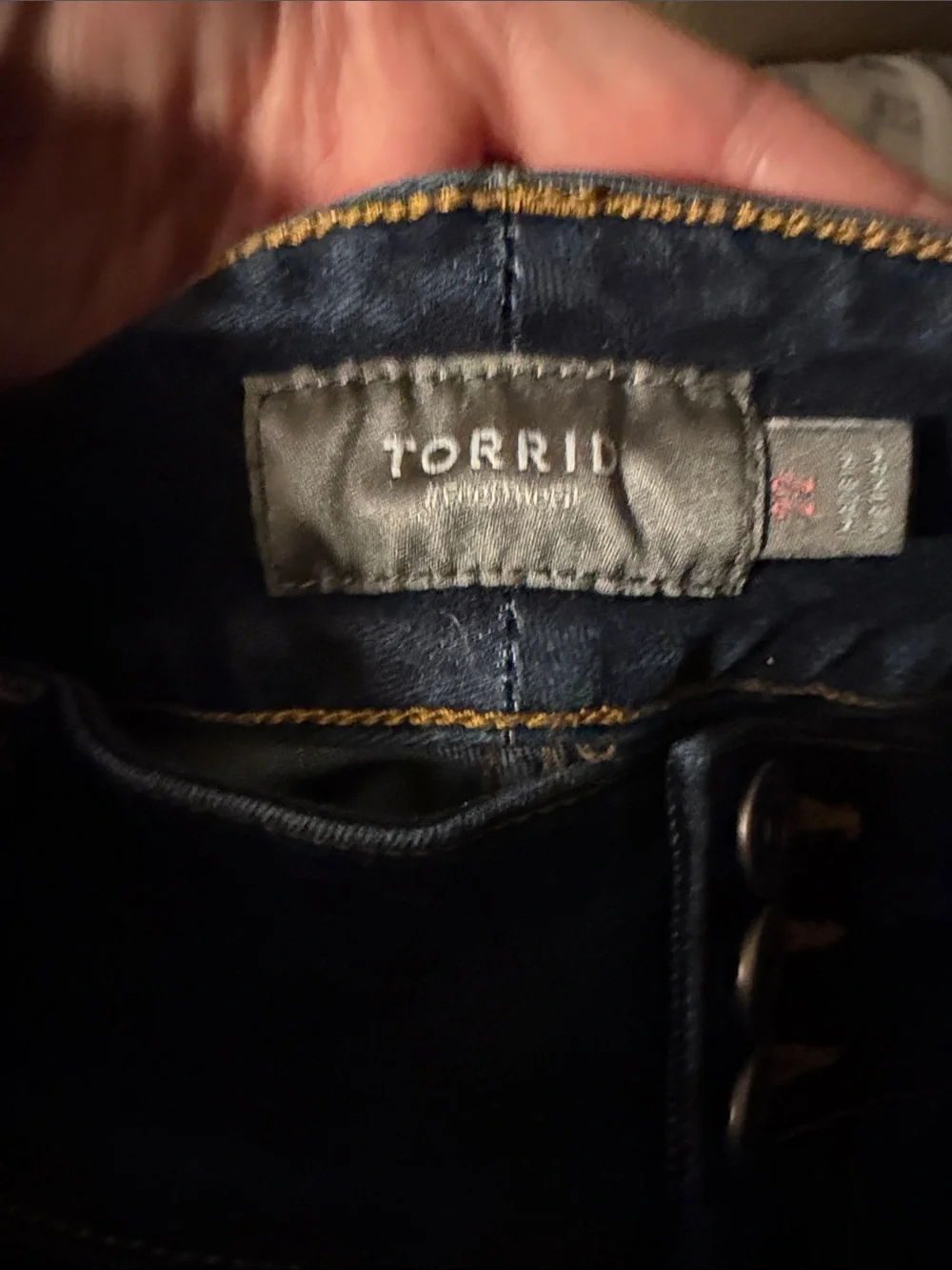 torrid excellent used